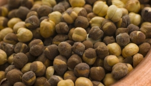 Manufacturers Exporters and Wholesale Suppliers of Roasted Black Chana Mumbai Maharashtra