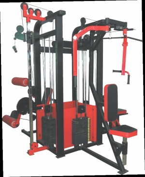 Unique gym equipment pvt ltd sale