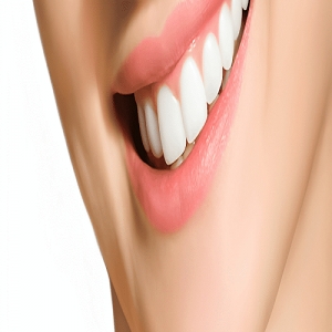 Service Provider of Dental Care Service Yamuna Nagar Haryana 