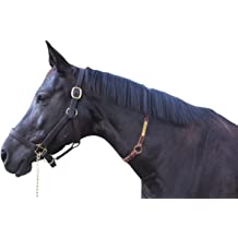 Manufacturers Exporters and Wholesale Suppliers of HORSE STRAPS Kanpur Uttar Pradesh