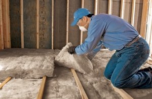 Service Provider of Insulation Contractors New Delhi Delhi 