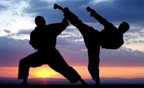 Manufacturers Exporters and Wholesale Suppliers of Martial Arts Sialkot 