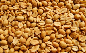 Manufacturers Exporters and Wholesale Suppliers of Peanuts Mumbai Maharashtra