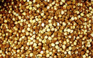 Manufacturers Exporters and Wholesale Suppliers of Roasted Chana Mumbai Maharashtra