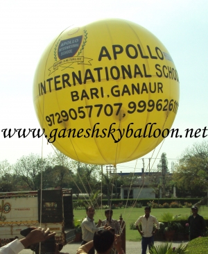 Service Provider of Advertising Balloons Sultan Puri Delhi 