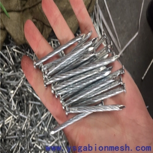 Good Quality Galvanized Concrete Steel Nails Manufacturer Supplier Wholesale Exporter Importer Buyer Trader Retailer in Hengshui  China