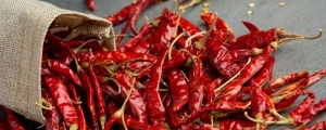 Manufacturers Exporters and Wholesale Suppliers of Dry Red Chillies Jaipur Rajasthan