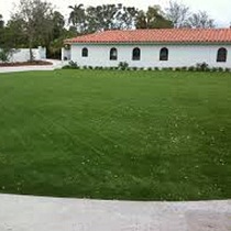 Service Provider of Eco Lawns Jaipur Rajasthan 