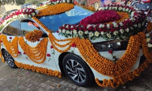 Service Provider of Honda Civic Wedding Car Rental Service Delhi Delhi 