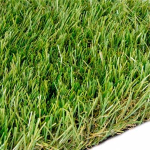 Service Provider of Mid Range Lawns Jaipur Rajasthan 