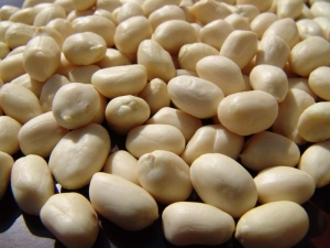 Manufacturers Exporters and Wholesale Suppliers of Plain Peanuts Mumbai Maharashtra