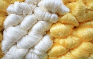 Manufacturers Exporters and Wholesale Suppliers of Raw Silk VARANASI Uttar Pradesh