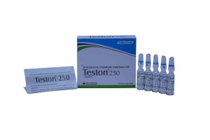 Manufacturers Exporters and Wholesale Suppliers of Teston 250mg Testosterone Enanthate surat Gujarat