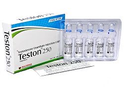 Manufacturers Exporters and Wholesale Suppliers of Teston 250mg Testosterone Enanthate surat Gujarat