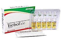 Manufacturers Exporters and Wholesale Suppliers of Trebol 100mg Trenbolone Acetate surat Gujarat