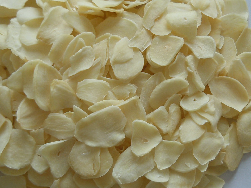 Manufacturers Exporters and Wholesale Suppliers of Dehydrated Garlic Chopped rajkot Gujarat