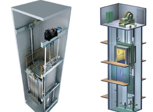 Service Provider of Machine Room Less Elevator Delhi Delhi 