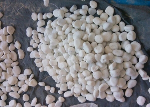 Manufacturers Exporters and Wholesale Suppliers of white garden pebbles Jaipur Rajasthan